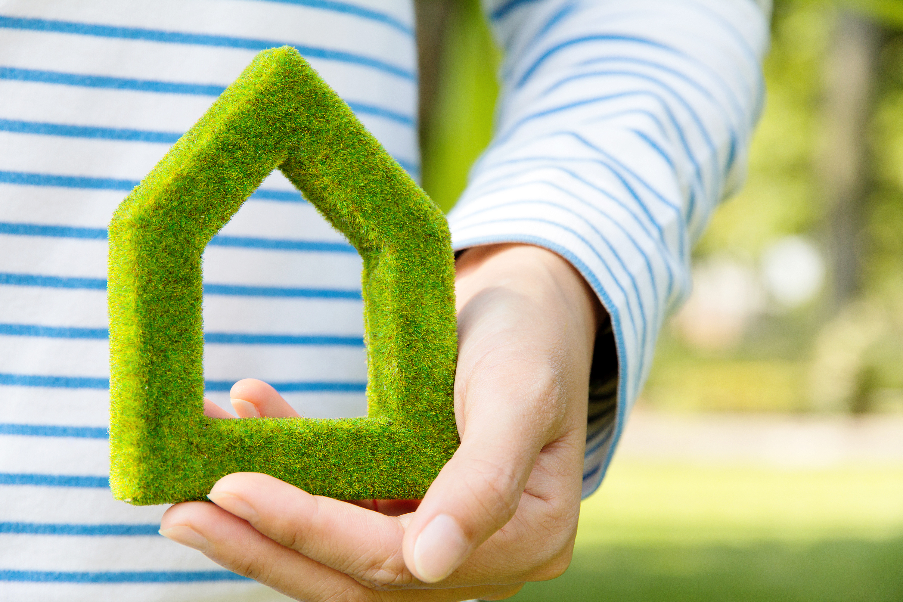Sustainable affordable homes